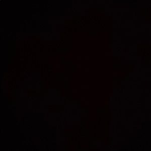 Meet your Posher, Lee